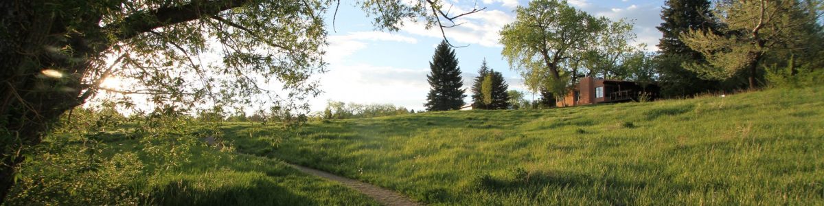 scenic hillside view of the Nature Center